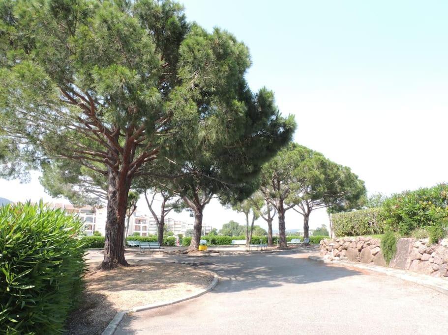 Ginkgo Studio - Piscine, Proche De La Mer, Golf, Wifi Mandelieu 外观 照片